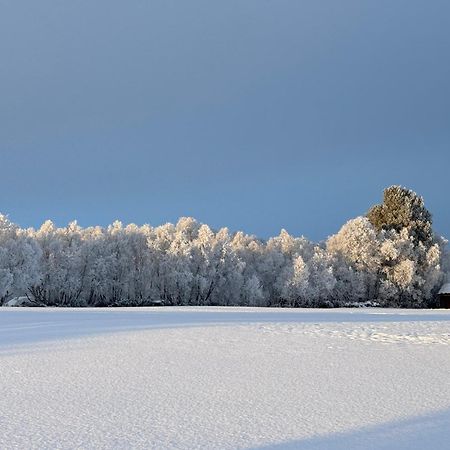 Appartamento Escapade Norvégienne Tolga Esterno foto