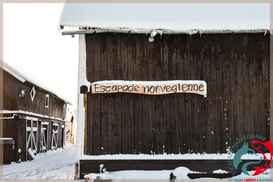 Appartamento Escapade Norvégienne Tolga Esterno foto