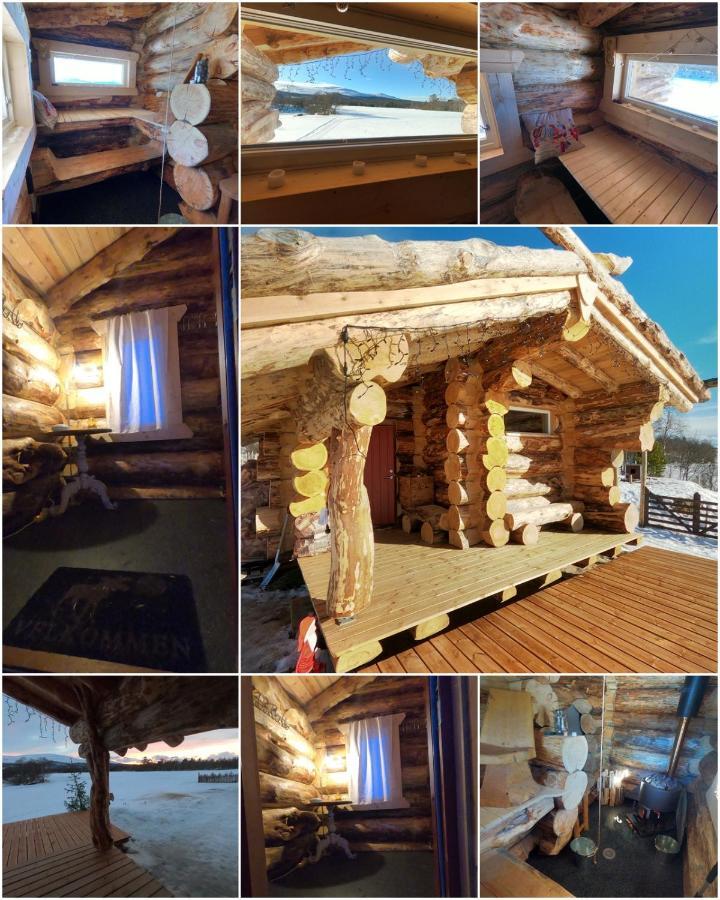Appartamento Escapade Norvégienne Tolga Esterno foto